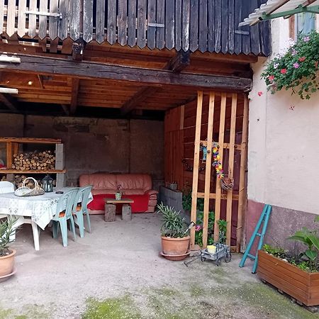 Appartement Spacieux Dans Joli Village Alsacien Châtenois Екстериор снимка