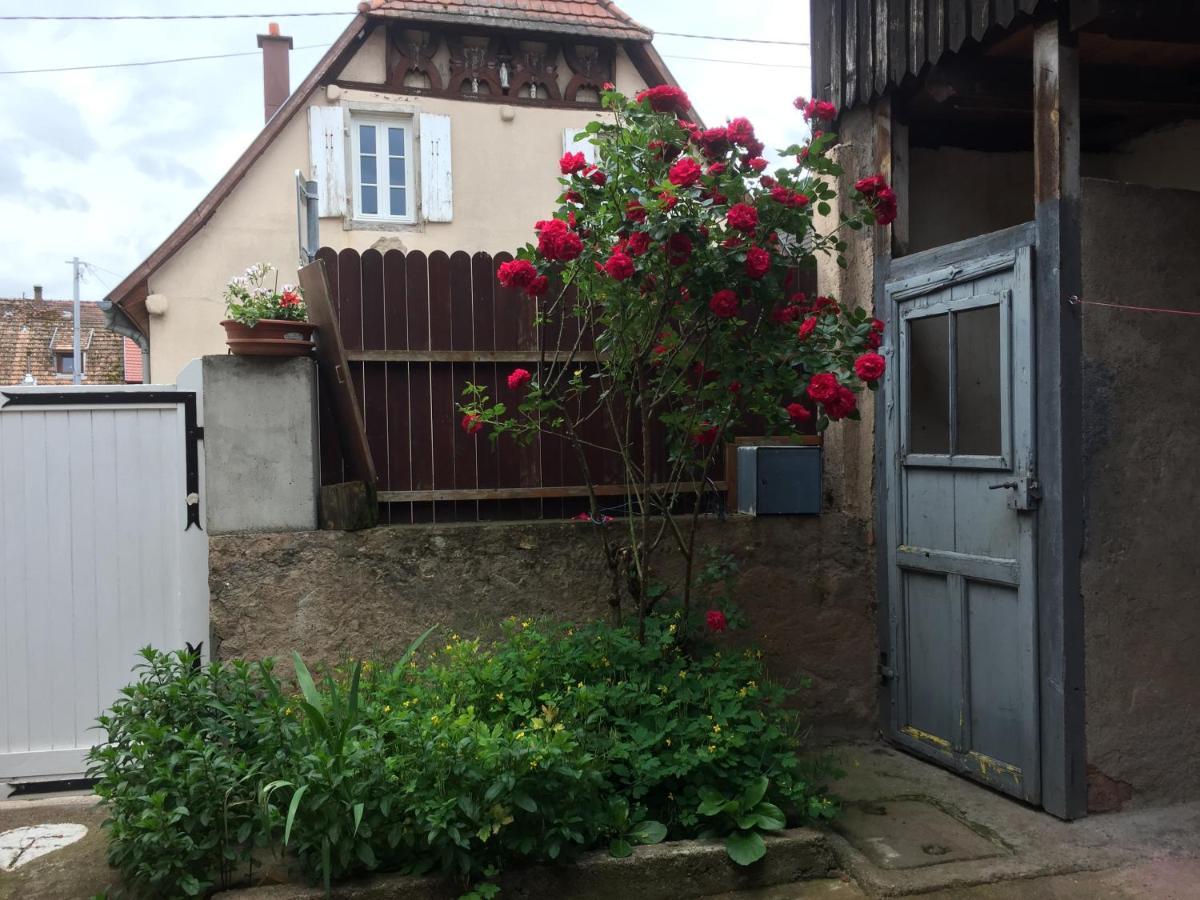 Appartement Spacieux Dans Joli Village Alsacien Châtenois Екстериор снимка