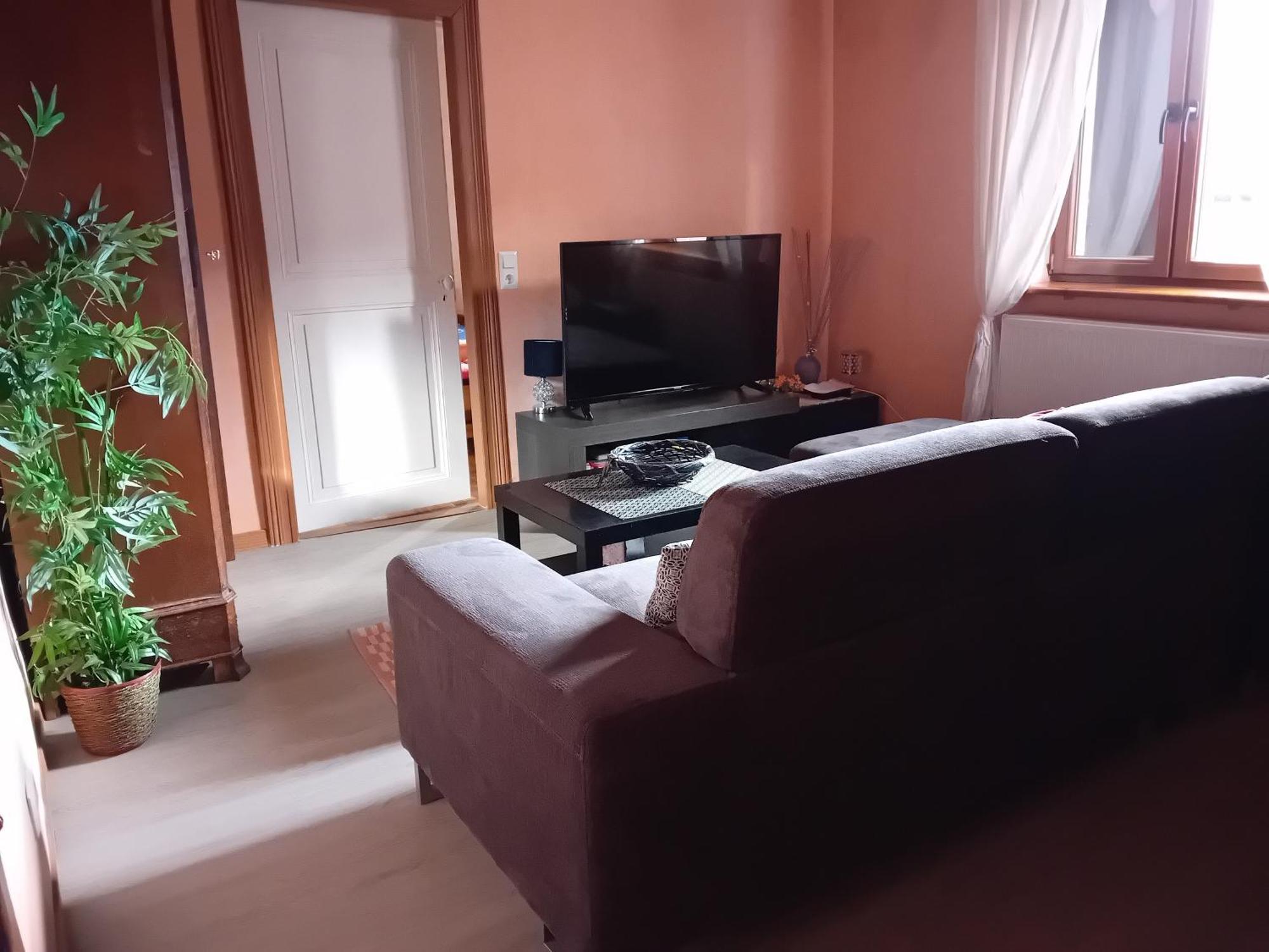 Appartement Spacieux Dans Joli Village Alsacien Châtenois Екстериор снимка