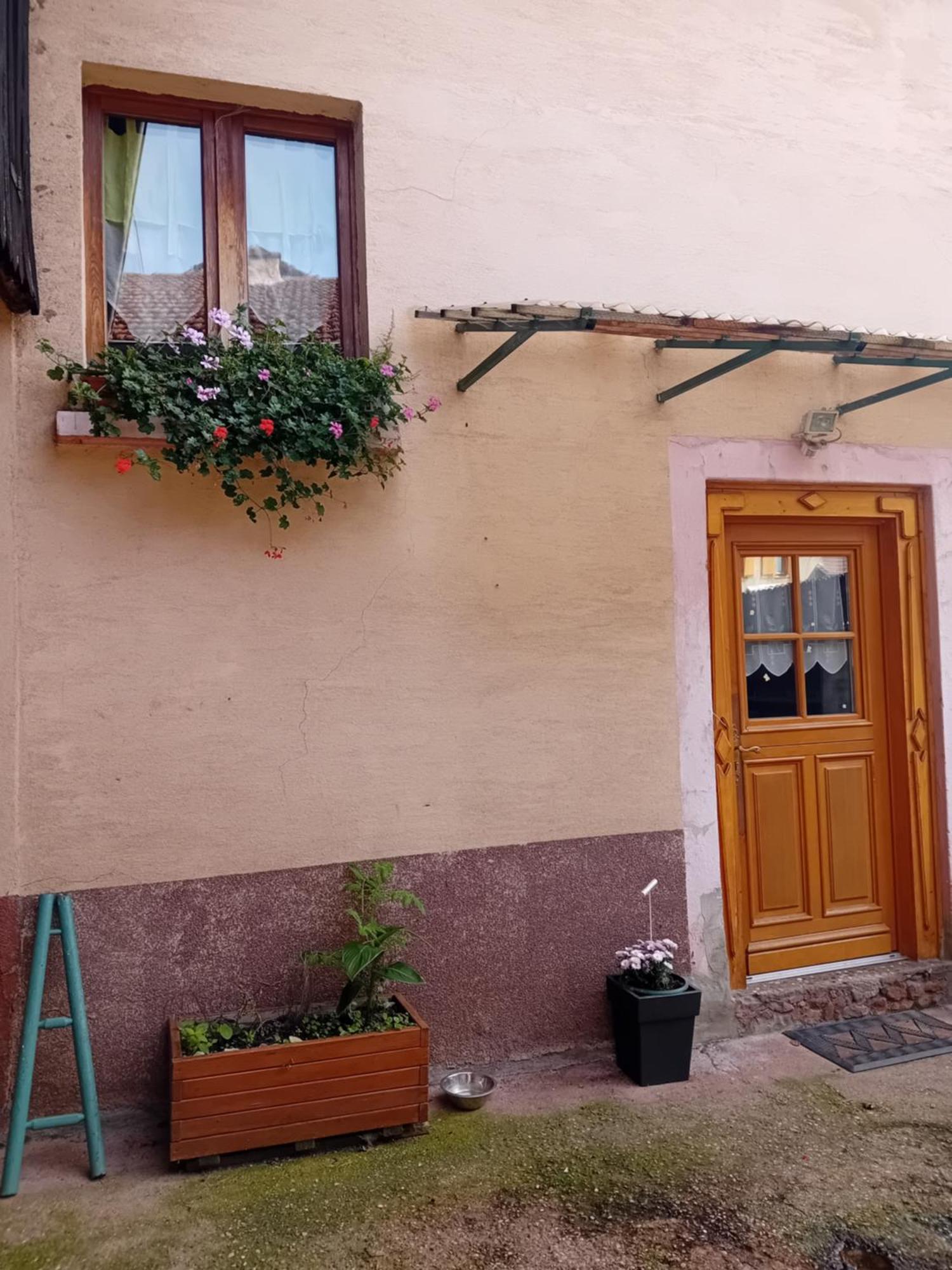 Appartement Spacieux Dans Joli Village Alsacien Châtenois Екстериор снимка